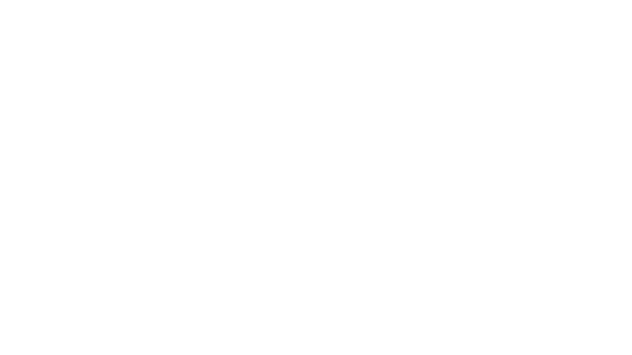 renault logo bianco renault logo bianco